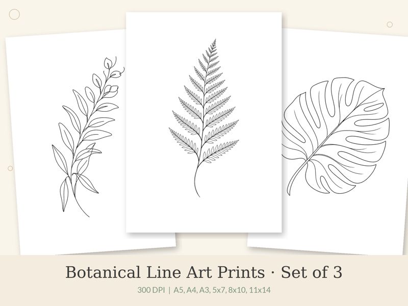 Botanical Line Art Prints – Set of 3 printable preview